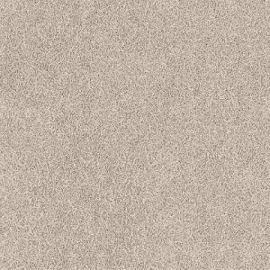 8195_8_additional image_new.jpg image